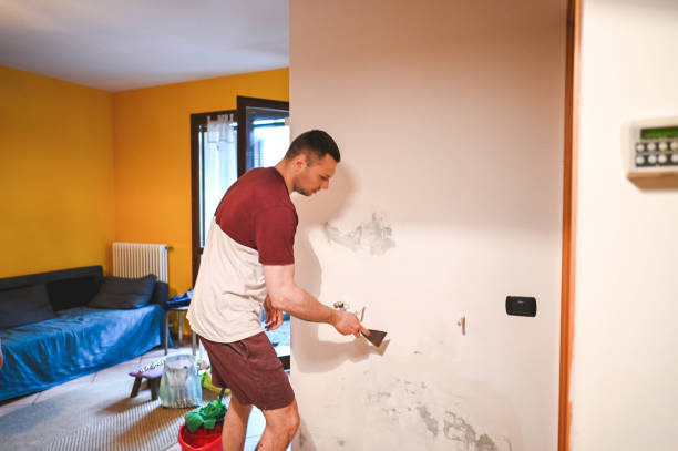 Best HVAC Mold Remediation in Belmar, NJ